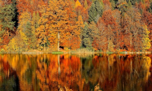 WIT October 2024 Newsletter