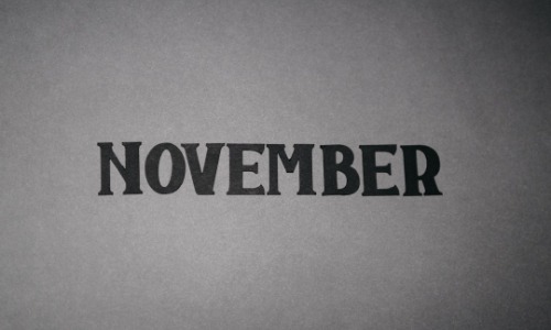 WIT November 2024 Newsletter