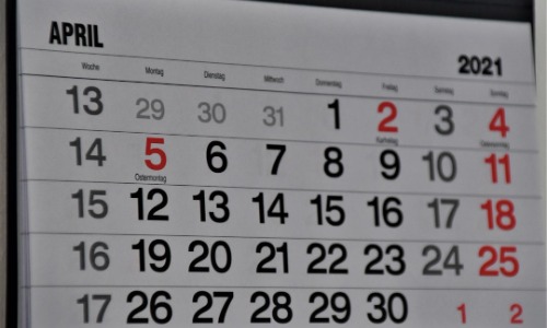 WIT April 2025 Newsletter
