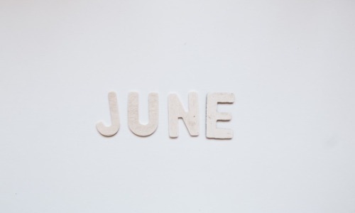 WIT June 2025 – Newsletter