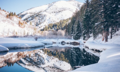 WIT Newsletter December 2025